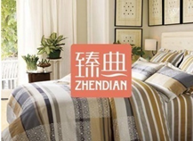 臻典      ZHENDIAN