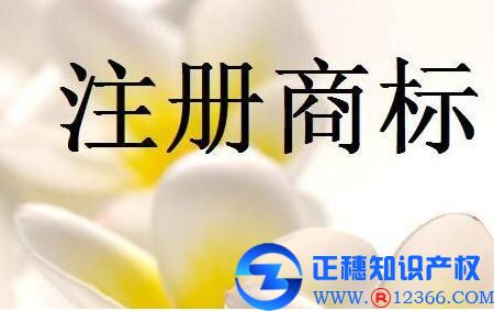 商標(biāo)注冊(cè)自行辦理與委托商標(biāo)代理機(jī)構(gòu)辦理有什么區(qū)別嗎？